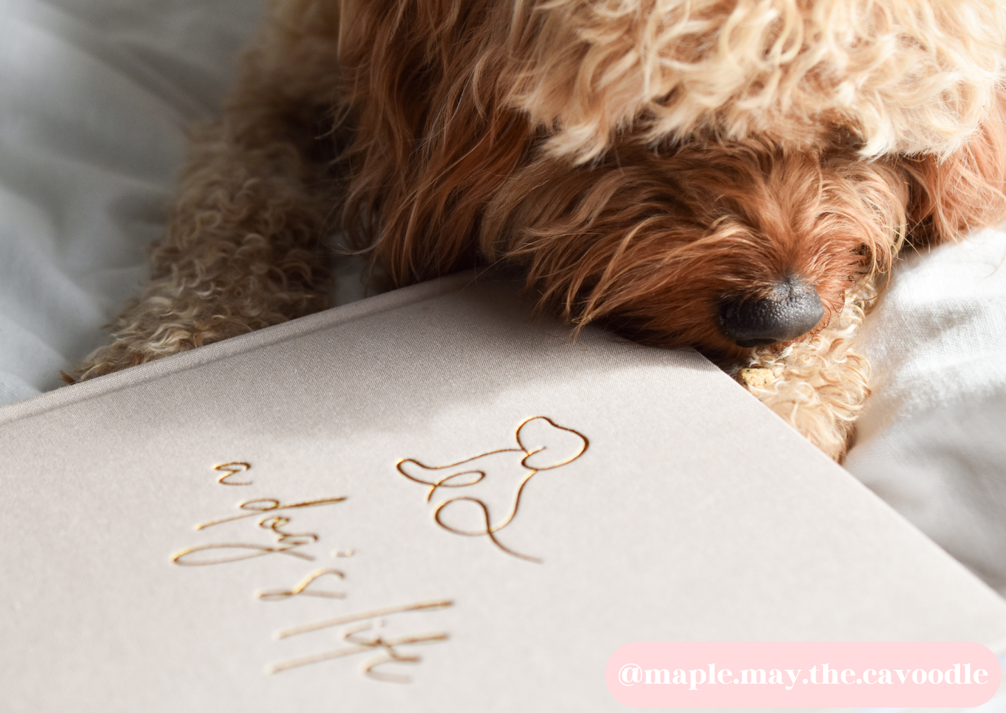 A Dog's Life Milestone Journal
