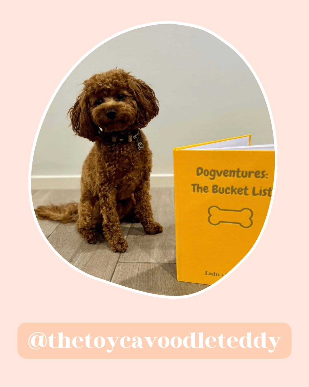 Dogventures: The Bucket List Journal | MANGO