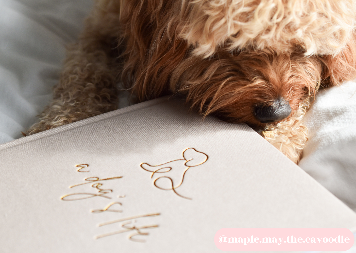 A Dog's Life Journal